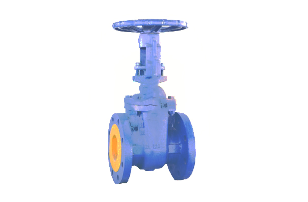 Cast Iron Rising Stem Gate Valve, JIS 10K